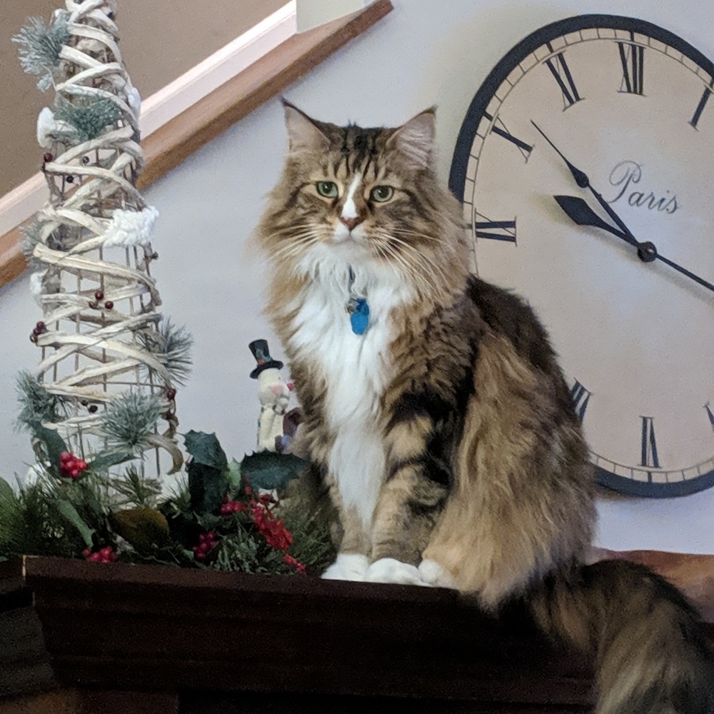 Meet your Posher, Brandi